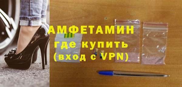 шишки Арсеньев