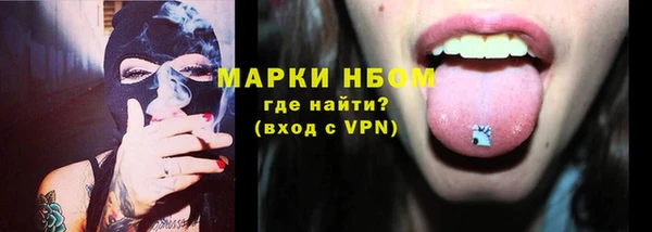 шишки Арсеньев