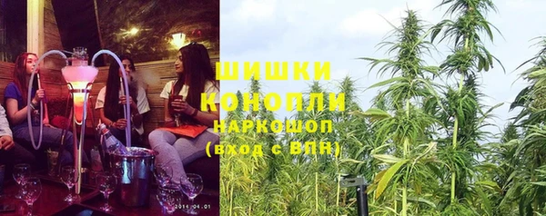 дмт Армянск