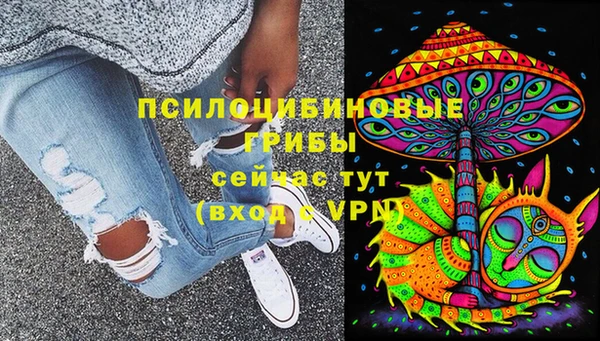 шишки Арсеньев
