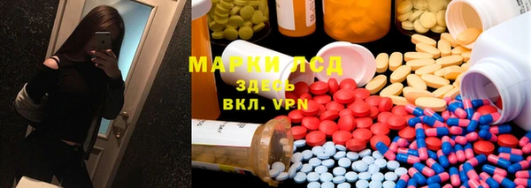 шишки Арсеньев