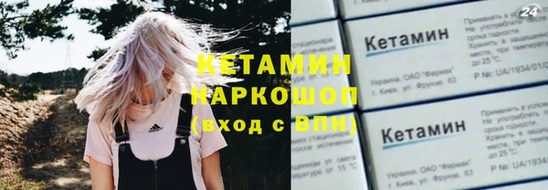 шишки Арсеньев
